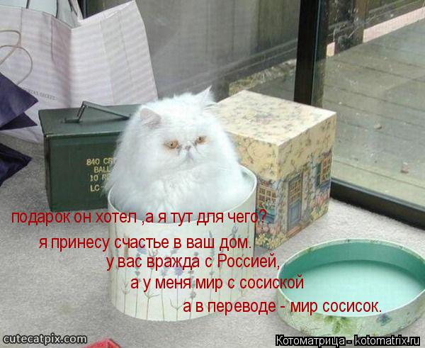 подарок он хотел ,а я тут для чего? я принесу счастье в ваш дом. у вас вражда с Россией, а у меня мир... Котоматрица: подарок он хотел ,а я тут для чего? я принесу счастье в ваш дом. у вас вражда с Россией, а у меня мир с сосиской а в переводе - мир сосисок.