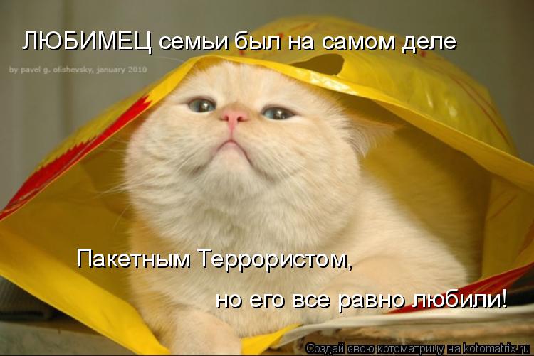 ЛЮБИМЕЦ семьи был на самом деле Пакетным Террористом, но его все равно любили!... Котоматрица: ЛЮБИМЕЦ семьи был на самом деле Пакетным Террористом, но его все равно любили!