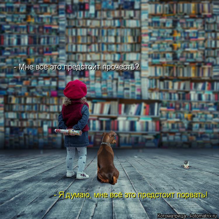 Котоматрица: - Мне всё это предстоит прочесть? - Я думаю, мне всё это предстоит порвать!