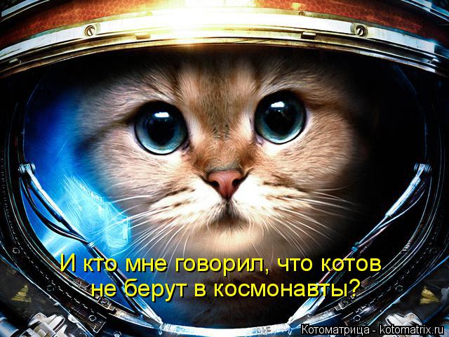 И кто мне говорил, что котов не берут в космонавты?... Котоматрица: И кто мне говорил, что котов не берут в космонавты?