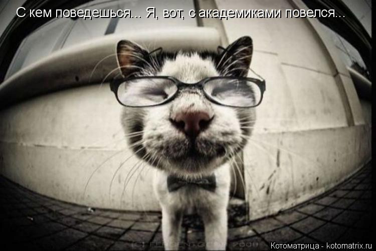 С кем поведешься... Я, вот, с академиками повелся...... Котоматрица: С кем поведешься... Я, вот, с академиками повелся...