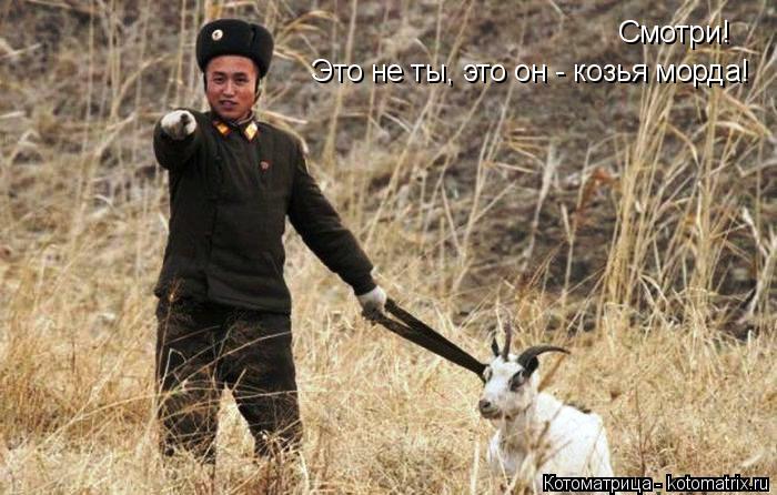 Котоматрица: Смотри! Это не ты, это он - козья морда!