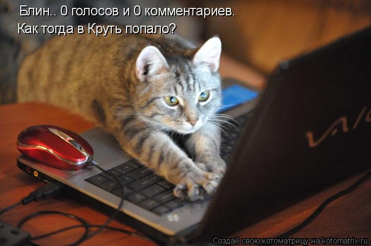 Котоматрица: Блин.. 0 голосов и 0 комментариев.  Как тогда в Круть попало?