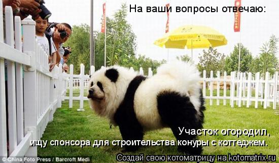 На ваши вопросы отвечаю: Участок огородил, ищу спонсора для строительства конуры с коттеджем.... Котоматрица: На ваши вопросы отвечаю: Участок огородил, ищу спонсора для строительства конуры с коттеджем.