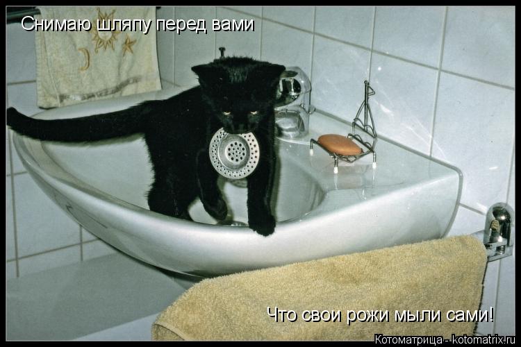 Котоматрица: Снимаю шляпу перед вами Что свои рожи мыли сами!