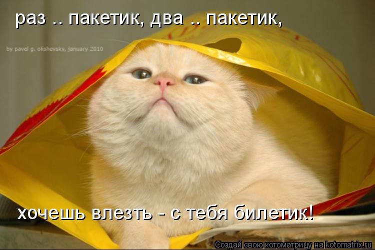 раз .. пакетик, два .. пакетик, хочешь влезть - с тебя билетик!... Котоматрица: раз .. пакетик, два .. пакетик, хочешь влезть - с тебя билетик!