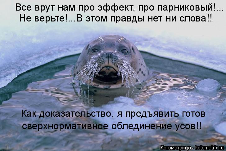 Котоматрица: Все врут нам про эффект, про парниковый!... Не верьте!...В этом правды нет ни слова!! Как доказательство, я предъявить готов сверхнормативное о