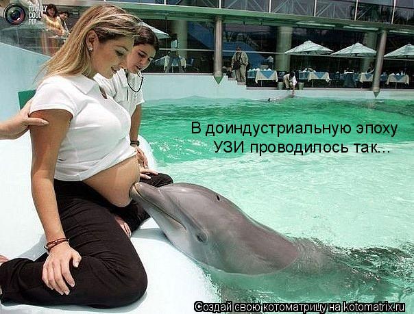 Котоматрица: В доиндустриальную эпоху  УЗИ проводилось так...