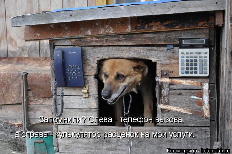 Запомнили? Слева - телефон вызова, а справа - кулькулятор расценок на мои услуги.... Котоматрица: Запомнили? Слева - телефон вызова, а справа - кулькулятор расценок на мои услуги.