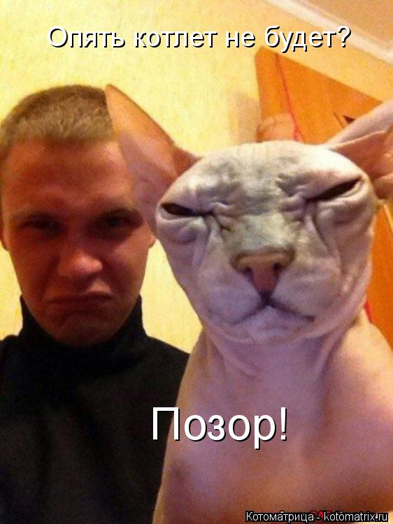 Опять котлет не будет? Позор!... Котоматрица: Опять котлет не будет? Позор!