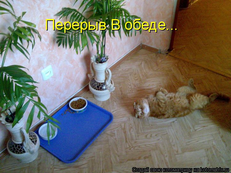 Перерыв В обеде...... Котоматрица: Перерыв В обеде...