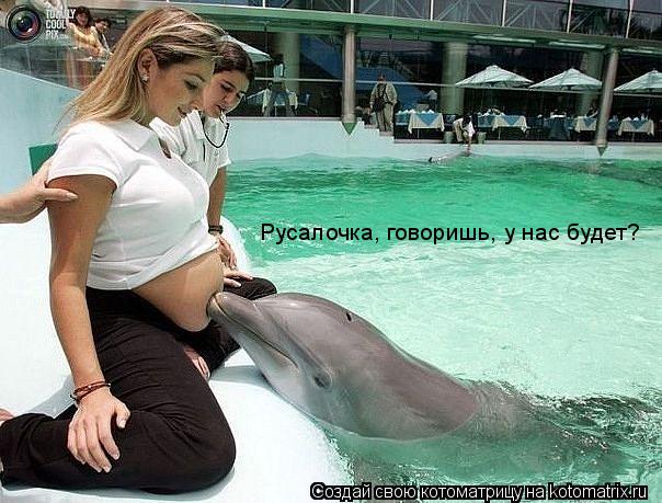 Котоматрица: Русалочка, говоришь, у нас будет?