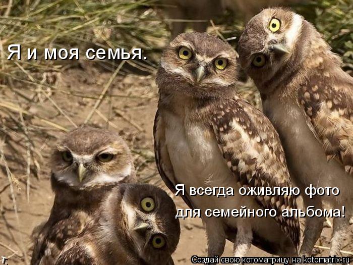 для семейного альбома! Я всегда оживляю фото Я и моя семья.... Котоматрица: для семейного альбома! Я всегда оживляю фото Я и моя семья.