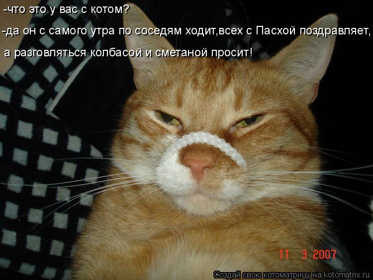 -да он с самого утра по соседям ходит,всех с Пасхой поздравляет, а разговляться колбасой и сметаной п... Котоматрица: -да он с самого утра по соседям ходит,всех с Пасхой поздравляет, а разговляться колбасой и сметаной просит! -что это у вас с котом?