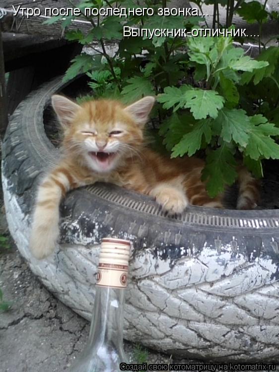 Утро после последнего звонка... Выпускник-отличник....... Котоматрица: Утро после последнего звонка... Выпускник-отличник....