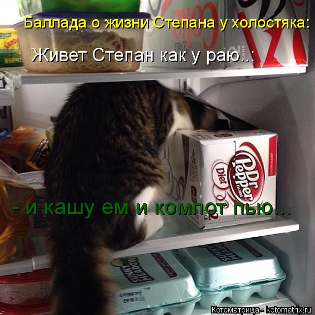 Баллада о жизни Степана у холостяка: Живет Степан как у раю..: - и кашу ем и компот пью...... Котоматрица: Баллада о жизни Степана у холостяка: Живет Степан как у раю..: - и кашу ем и компот пью...