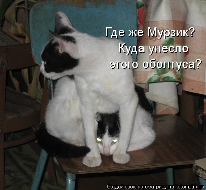 Где же Мурзик? Куда унесло этого оболтуса?... Котоматрица: Где же Мурзик? Куда унесло этого оболтуса?