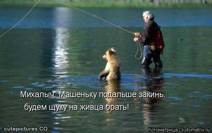 Михалыч, Машеньку подальше закинь, будем щуку на живца брать!... Котоматрица: Михалыч, Машеньку подальше закинь, будем щуку на живца брать!