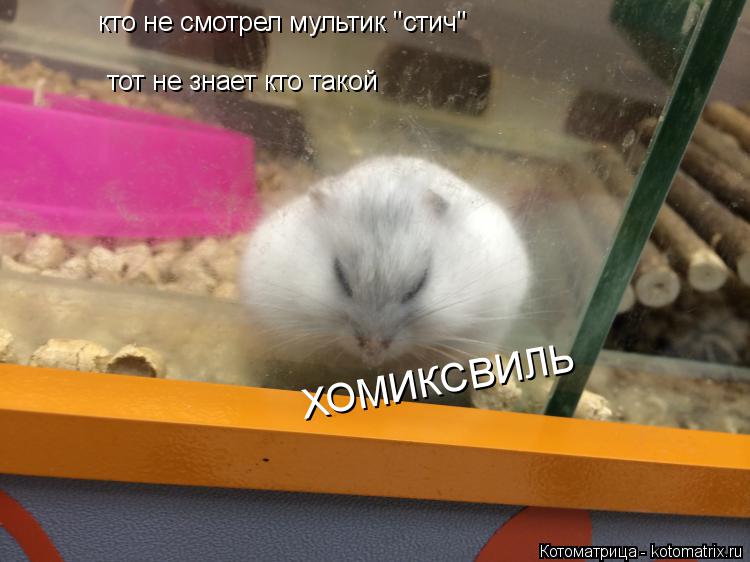 кто не смотрел мультик ''стич'' тот не знает кто такой ХОМИКСВИЛЬ... Котоматрица: кто не смотрел мультик ''стич'' тот не знает кто такой ХОМИКСВИЛЬ