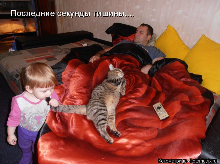 Последние секунды тишины....... Котоматрица: Последние секунды тишины....