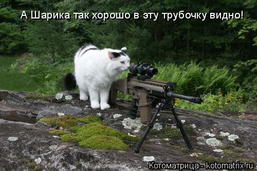 Котоматрица: А Шарика так хорошо в эту трубочку видно!