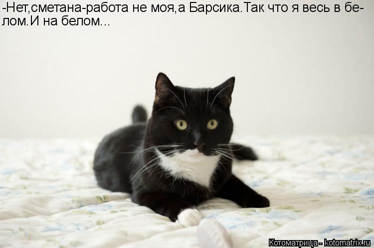 -Нет,сметана-работа не моя,а Барсика.Так что я весь в бе- лом.И на белом...... Котоматрица: -Нет,сметана-работа не моя,а Барсика.Так что я весь в бе- лом.И на белом...