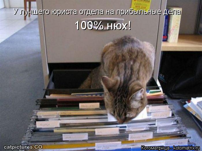 У лучшего юриста отдела на прибыльные дела 100% нюх!... Котоматрица: У лучшего юриста отдела на прибыльные дела 100% нюх!