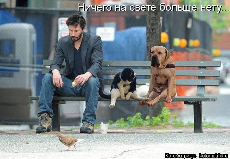 Котоматрица: Ничего на свете больше нету...
