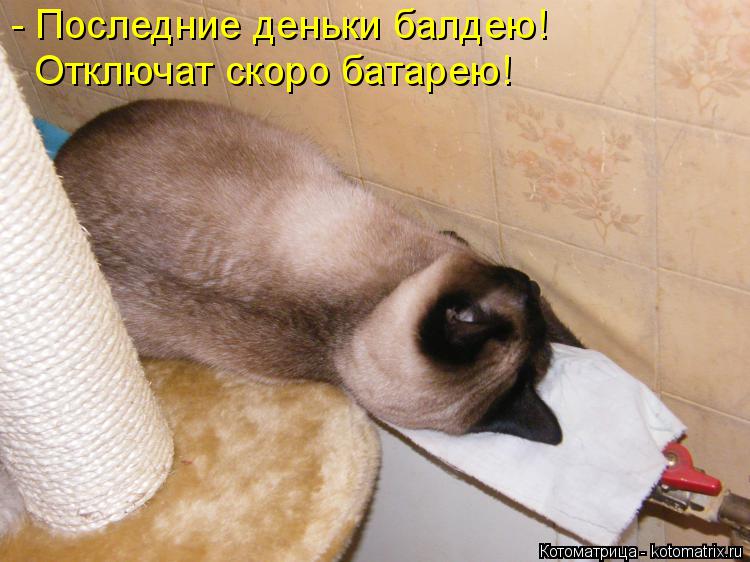 Котоматрица: - Последние деньки балдею! Отключат скоро батарею!