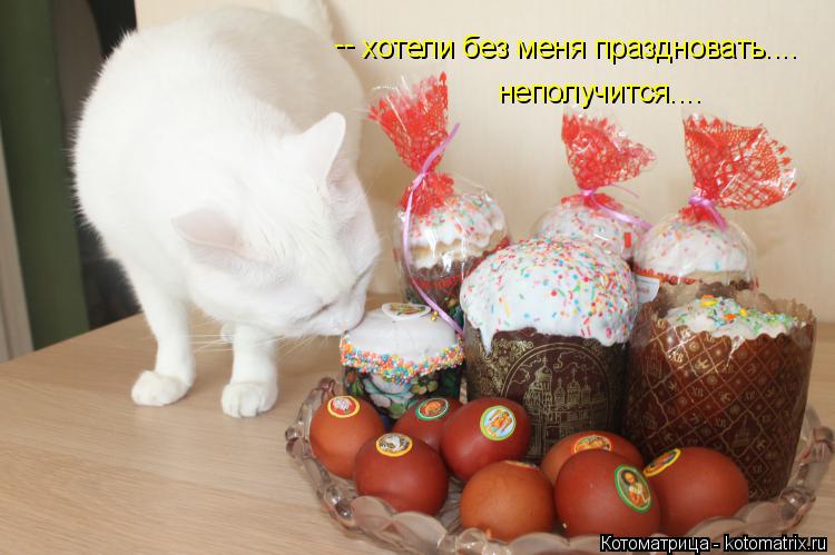 хотели без меня праздновать.... неполучится.... - -... Котоматрица: хотели без меня праздновать.... неполучится.... - -