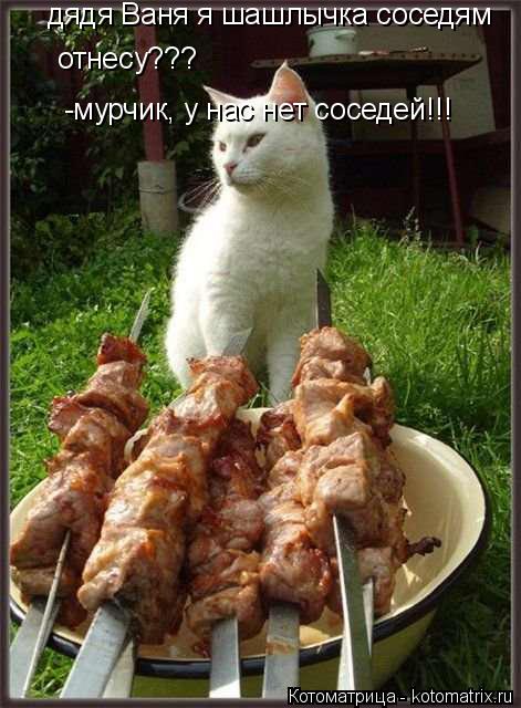 дядя Ваня я шашлычка соседям отнесу??? -мурчик, у нас нет соседей!!!... Котоматрица: дядя Ваня я шашлычка соседям отнесу??? -мурчик, у нас нет соседей!!!