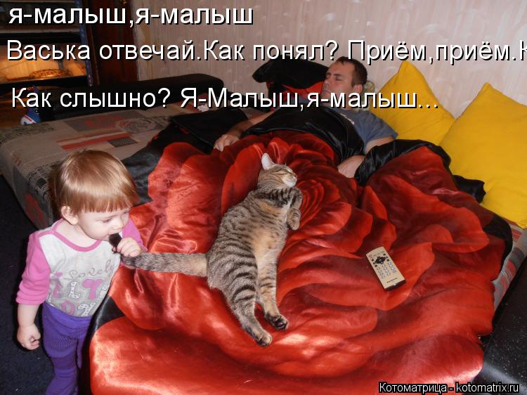 я-малыш,я-малыш Васька отвечай.Как понял? Приём,приём.Как слышно? Как слышно? Я-Малыш,я-малыш...... Котоматрица: я-малыш,я-малыш Васька отвечай.Как понял? Приём,приём.Как слышно? Как слышно? Я-Малыш,я-малыш...