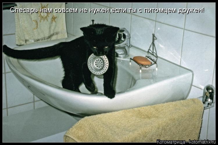 Слесарь нам совсем не нужен,если ты с питомцем дружен!... Котоматрица: Слесарь нам совсем не нужен,если ты с питомцем дружен!