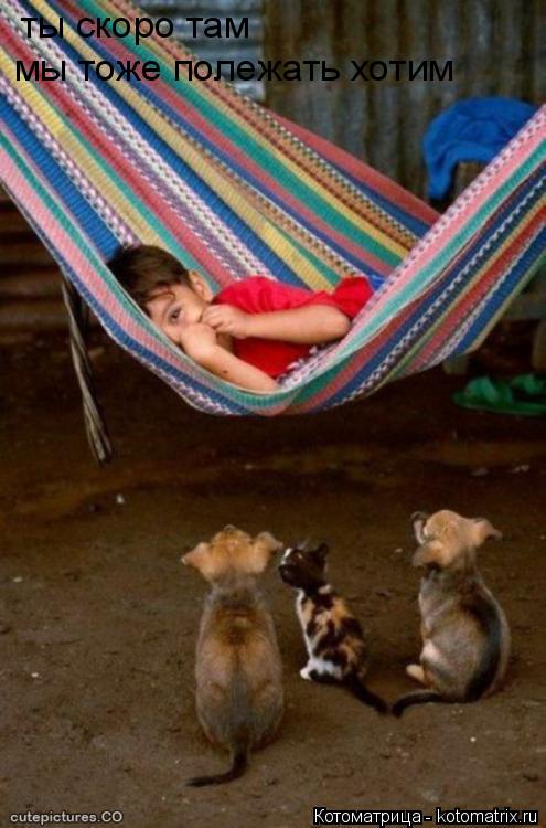ты скоро там мы тоже полежать хотим... Котоматрица: ты скоро там мы тоже полежать хотим