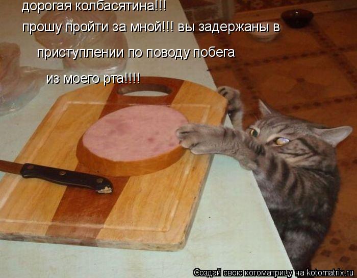 дорогая колбасятина!!! прошу пройти за мной!!! вы задержаны в приступлении по поводу побега из моего ... Котоматрица: дорогая колбасятина!!! прошу пройти за мной!!! вы задержаны в приступлении по поводу побега из моего рта!!!!