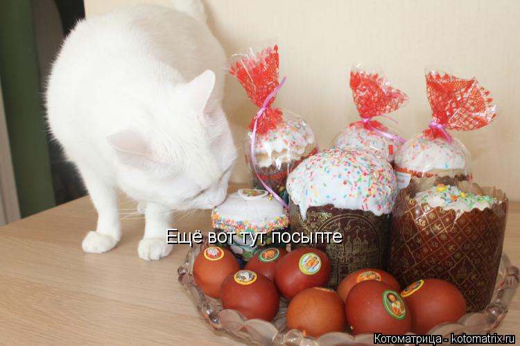Ещё вот тут посыпте... Котоматрица: Ещё вот тут посыпте