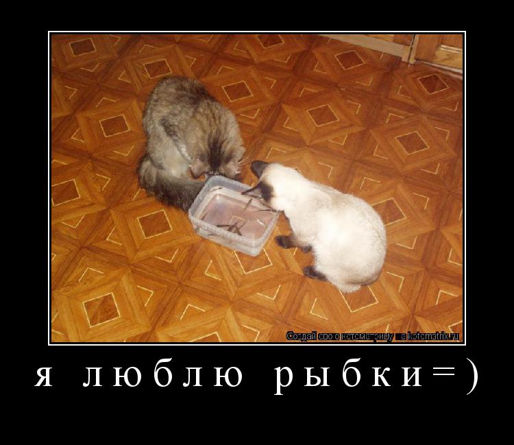 Котоматрица: я люблю рыбки=) 