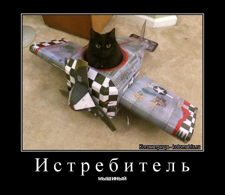 Котоматрица: Истребитель мышиный