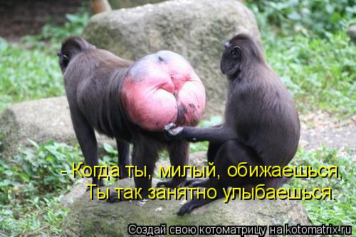 - Когда ты, милый, обижаешься, Ты так занятно улыбаешься.... Котоматрица: - Когда ты, милый, обижаешься, Ты так занятно улыбаешься.