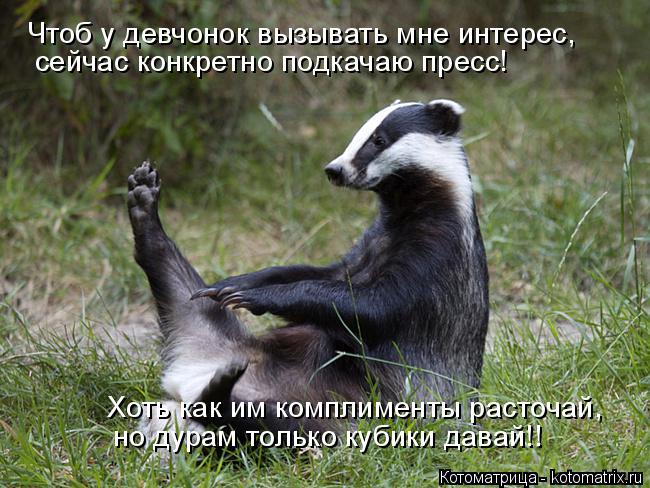 Чтоб у девчонок вызывать мне интерес, сейчас конкретно подкачаю пресс! Хоть как им комплименты расточ... Котоматрица: Чтоб у девчонок вызывать мне интерес, сейчас конкретно подкачаю пресс! Хоть как им комплименты расточай, но дурам только кубики давай!!