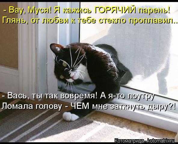 - Вау, Муся! Я кажись ГОРЯЧИЙ парень! Глянь, от любви к тебе стекло проплавил.. - Вась, ты так воврем... Котоматрица: - Вау, Муся! Я кажись ГОРЯЧИЙ парень! Глянь, от любви к тебе стекло проплавил.. - Вась, ты так вовремя! А я-то поутру Ломала голову - ЧЕМ мне заткн