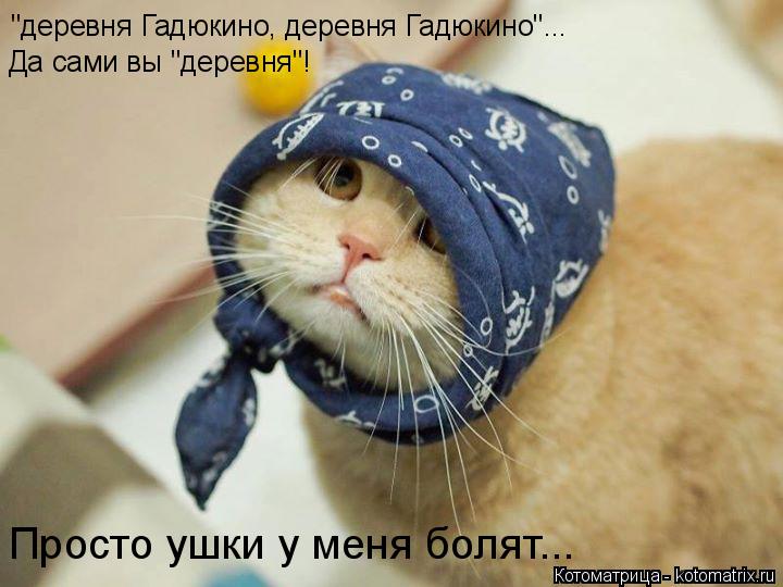 "деревня Гадюкино, деревня Гадюкино"... Да сами вы "деревня"! Просто ушки у меня болят...... Котоматрица: "деревня Гадюкино, деревня Гадюкино"... Да сами вы "деревня"! Просто ушки у меня болят...