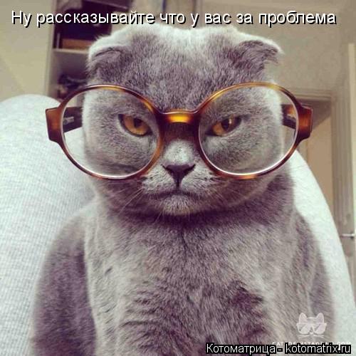 Котоматрица: Ну рассказывайте что у вас за проблема