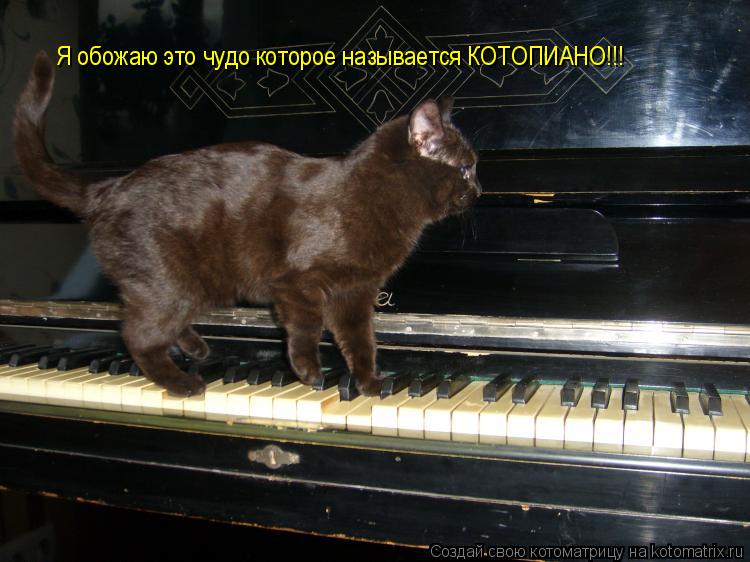 Котоматрица: Я обожаю это чудо которое называется КОТОПИАНО!!!