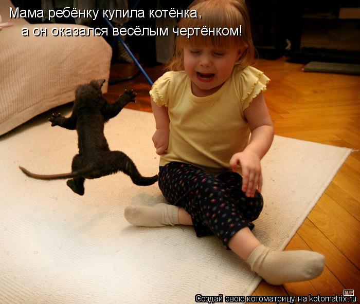Котоматрица: Мама ребёнку купила котёнка , а он оказался весёлым чертёнком!