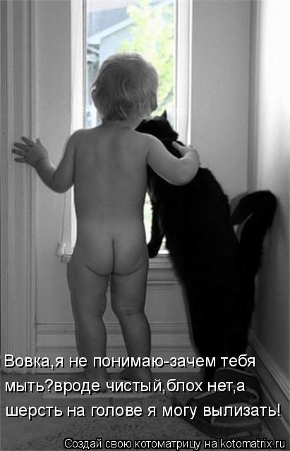 Котоматрица: Вовка,я не понимаю-зачем тебя  мыть?вроде чистый,блох нет,а  шерсть на голове я могу вылизать!