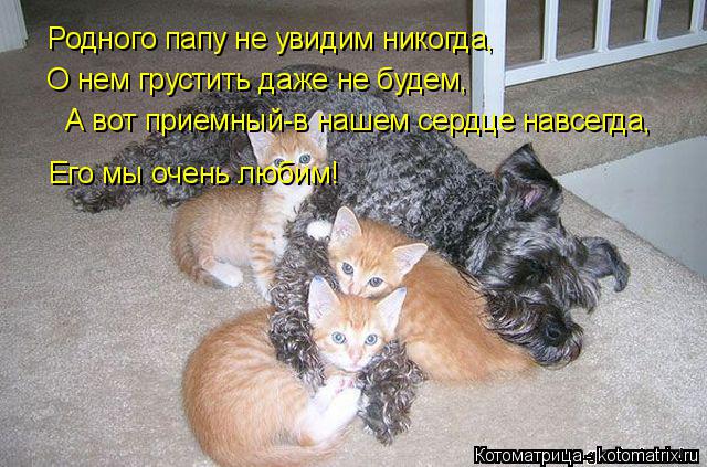 Котоматрица: Родного папу не увидим никогда, О нем грустить даже не будем, А вот приемный-в нашем сердце навсегда, Его мы очень любим!