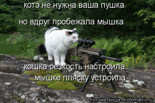 Котоматрица: но вдруг пробежала мышка кошка резкость настроила мышке пляску устроила котэ не нужна ваша пушка
