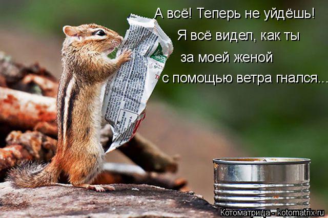 Котоматрица: А всё! Теперь не уйдёшь! Я всё видел, как ты за моей женой с помощью ветра гнался...
