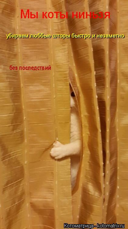 Котоматрица: Мы коты ниньзя убираем люббые шторы быстро и незаметно без последствий